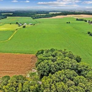 Photo #6 of Holt, Princeton, NC 12.1 acres
