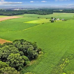 Photo #2 of Holt, Princeton, NC 12.1 acres