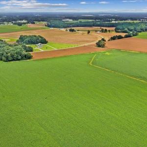 Photo #3 of Holt, Princeton, NC 12.1 acres