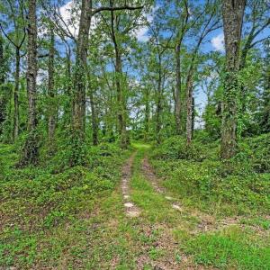 Photo #9 of Holt, Princeton, NC 12.1 acres
