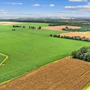 Photo #4 of Holt, Princeton, NC 12.1 acres