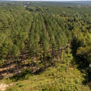 Photo #3 of Mcleod, Broadway, NC 148.3 acres