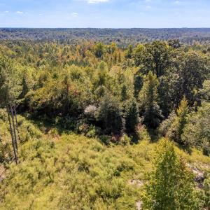 Photo #9 of Mcleod, Broadway, NC 148.3 acres