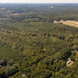 Photo #7 of Mcleod, Broadway, NC 148.3 acres