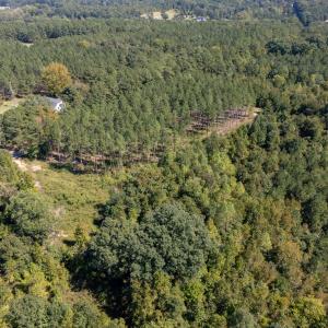 Photo #5 of Mcleod, Broadway, NC 148.3 acres