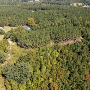 Photo #16 of Mcleod, Broadway, NC 148.3 acres
