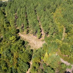 Photo #2 of Mcleod, Broadway, NC 148.3 acres