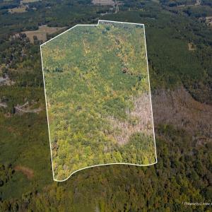 Photo #1 of Mcleod, Broadway, NC 148.3 acres