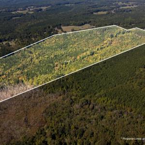 Photo #18 of Mcleod, Broadway, NC 148.3 acres