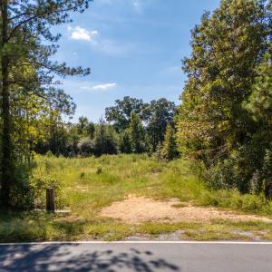 Photo #10 of Mcleod, Broadway, NC 148.3 acres