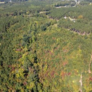 Photo #17 of Mcleod, Broadway, NC 148.3 acres