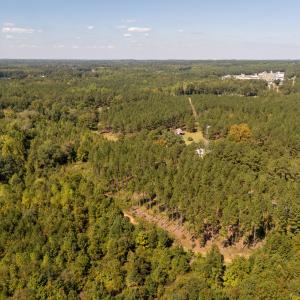 Photo #19 of Mcleod, Broadway, NC 148.3 acres
