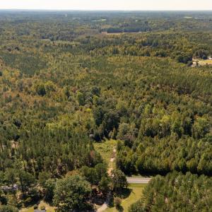 Photo #6 of Mcleod, Broadway, NC 148.3 acres