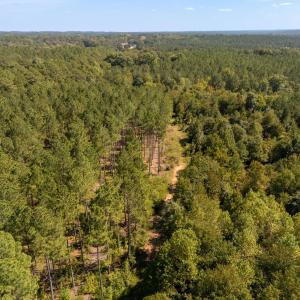 Photo #14 of Mcleod, Broadway, NC 148.3 acres