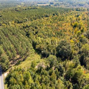 Photo #4 of Mcleod, Broadway, NC 148.3 acres