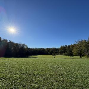 Photo #3 of 514 Lavender Hill, Pittsboro, NC 37.5 acres