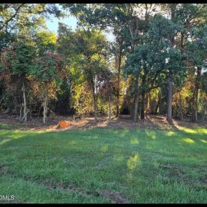 Photo #2 of Godwin Lake, Benson, NC 2.6 acres