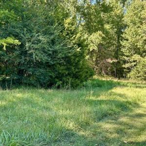 Photo #5 of 3 Harmony Church, Efland, NC 10.0 acres