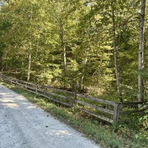 Photo #13 of 3 Harmony Church, Efland, NC 10.0 acres