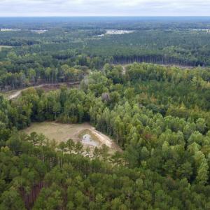 Photo #5 of Mcdougald, Lillington, NC 10.5 acres