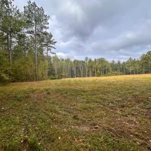 Photo #22 of Mcdougald, Lillington, NC 10.5 acres