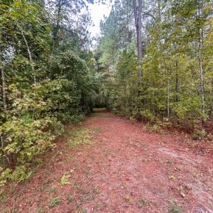 Photo #24 of Mcdougald, Lillington, NC 10.5 acres