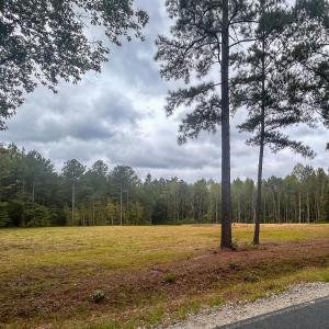 Photo #16 of Mcdougald, Lillington, NC 10.5 acres