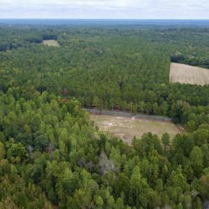 Photo #8 of Mcdougald, Lillington, NC 10.5 acres