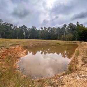 Photo #23 of Mcdougald, Lillington, NC 10.5 acres