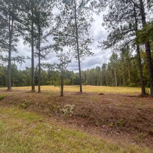 Photo #17 of Mcdougald, Lillington, NC 10.5 acres