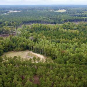 Photo #4 of Mcdougald, Lillington, NC 10.5 acres
