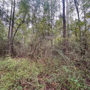 Photo #27 of Mcdougald, Lillington, NC 10.5 acres