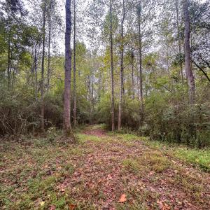 Photo #25 of Mcdougald, Lillington, NC 10.5 acres