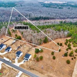Photo #1 of Lot 1 Blue Springs, Red Springs, NC 10.4 acres