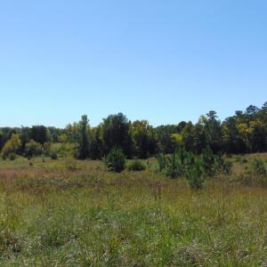 Photo #2 of Lonnie Harris, Oxford, NC 8.7 acres