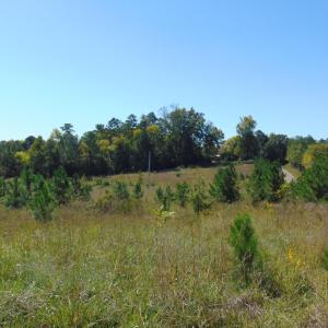 Photo #1 of Lonnie Harris, Oxford, NC 8.7 acres