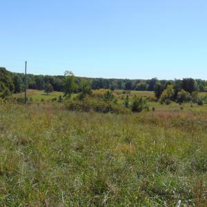 Photo #3 of Lonnie Harris, Oxford, NC 8.7 acres