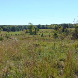 Photo #4 of Lonnie Harris, Oxford, NC 8.7 acres