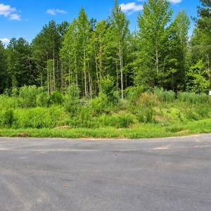Photo #6 of 4447 Poppy Mallow, Oxford, NC 146.3 acres