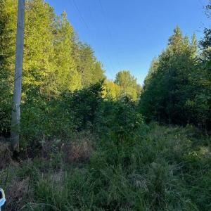 Photo #13 of Tbd Fontaine, Roxboro, NC 94.8 acres