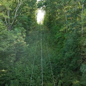 Photo #10 of Tbd Fontaine, Roxboro, NC 94.8 acres
