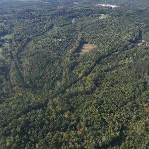 Photo #7 of Tbd Fontaine, Roxboro, NC 94.8 acres