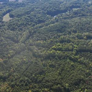 Photo #6 of Tbd Fontaine, Roxboro, NC 94.8 acres