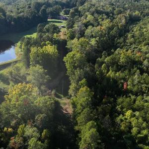 Photo #12 of Tbd Fontaine, Roxboro, NC 94.8 acres