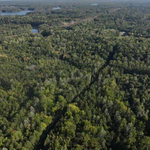 Photo #5 of Tbd Fontaine, Roxboro, NC 94.8 acres