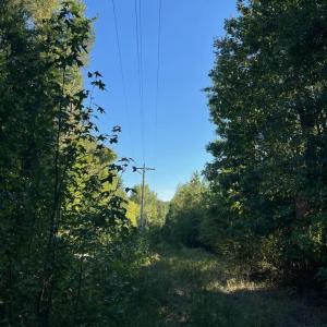 Photo #14 of Tbd Fontaine, Roxboro, NC 94.8 acres