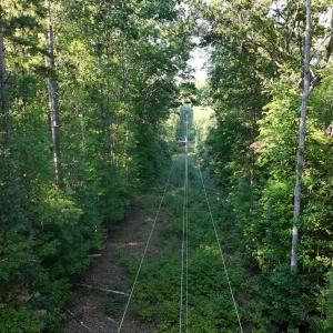 Photo #11 of Tbd Fontaine, Roxboro, NC 94.8 acres
