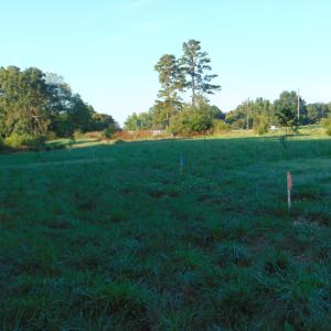 Photo #12 of County Home Lot 1, Blanch, NC 1.0 acres
