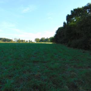 Photo #11 of County Home Lot 1, Blanch, NC 1.0 acres
