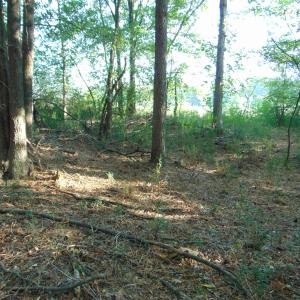 Photo #13 of County Home Lot 1, Blanch, NC 1.0 acres